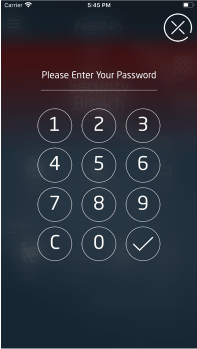 inspinia_mobile3